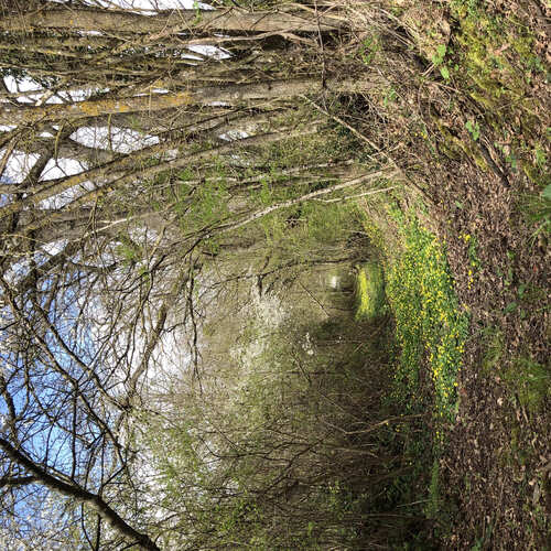 image donnant un aperçu de la réalisation