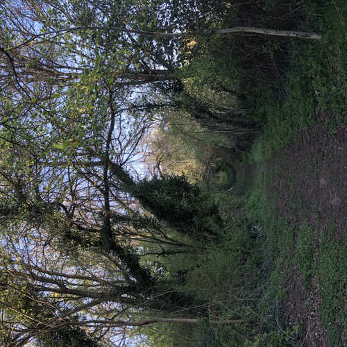 image donnant un aperçu de la réalisation