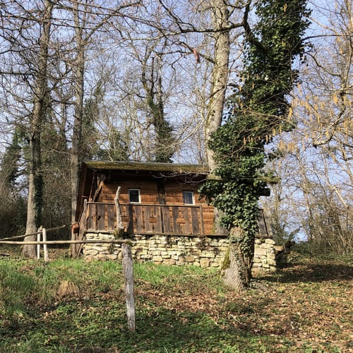 image donnant un aperçu de la réalisation