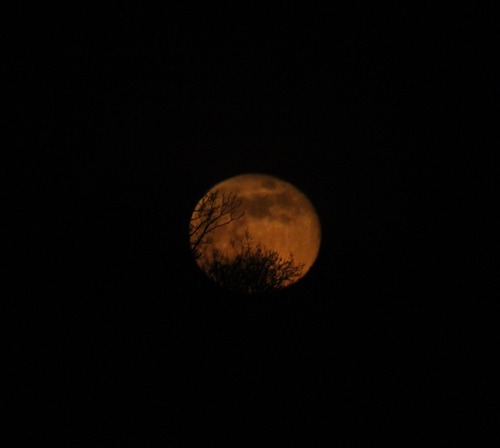 image donnant un aperçu de la réalisation