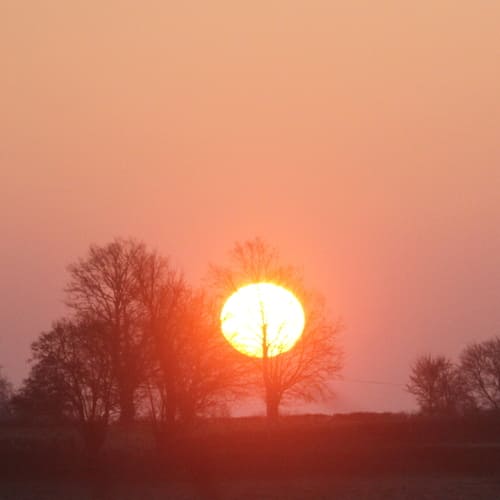 aperçu de la création pour Le soleil dort dans les arbres !