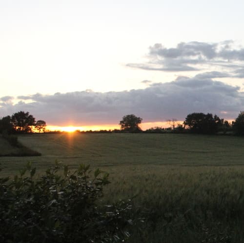 aperçu de la création pour Paysages du Bourbonnais