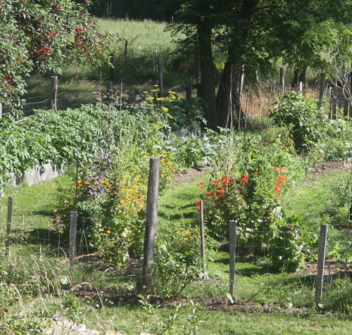 aperçu de la création pour Jardiner sur sol vivant