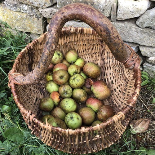 image donnant un aperçu de la réalisation